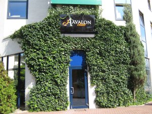 avalon avalon