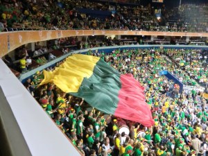 Litauenfahne in der Siemens-Arena